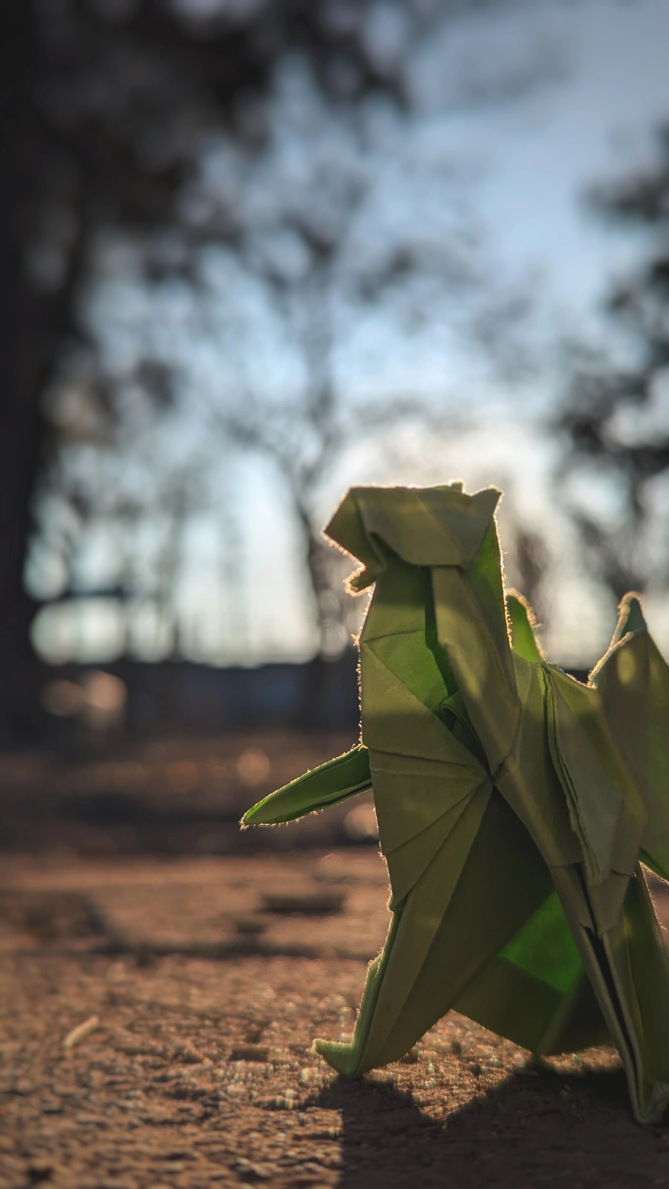 Dragón: figura de papel, fotografiada de frente