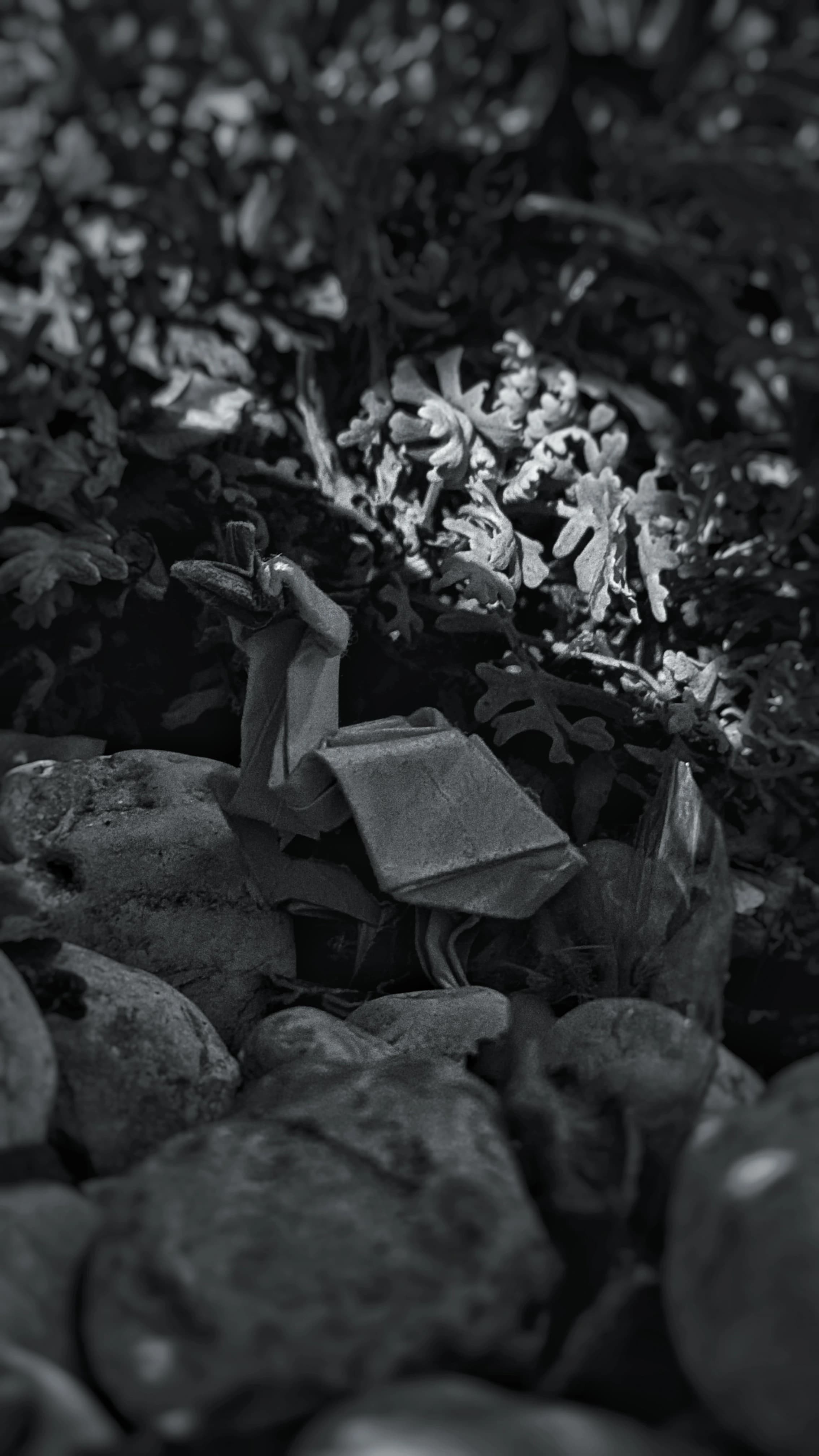 Ganso: figura de papel, fotografiada de frente