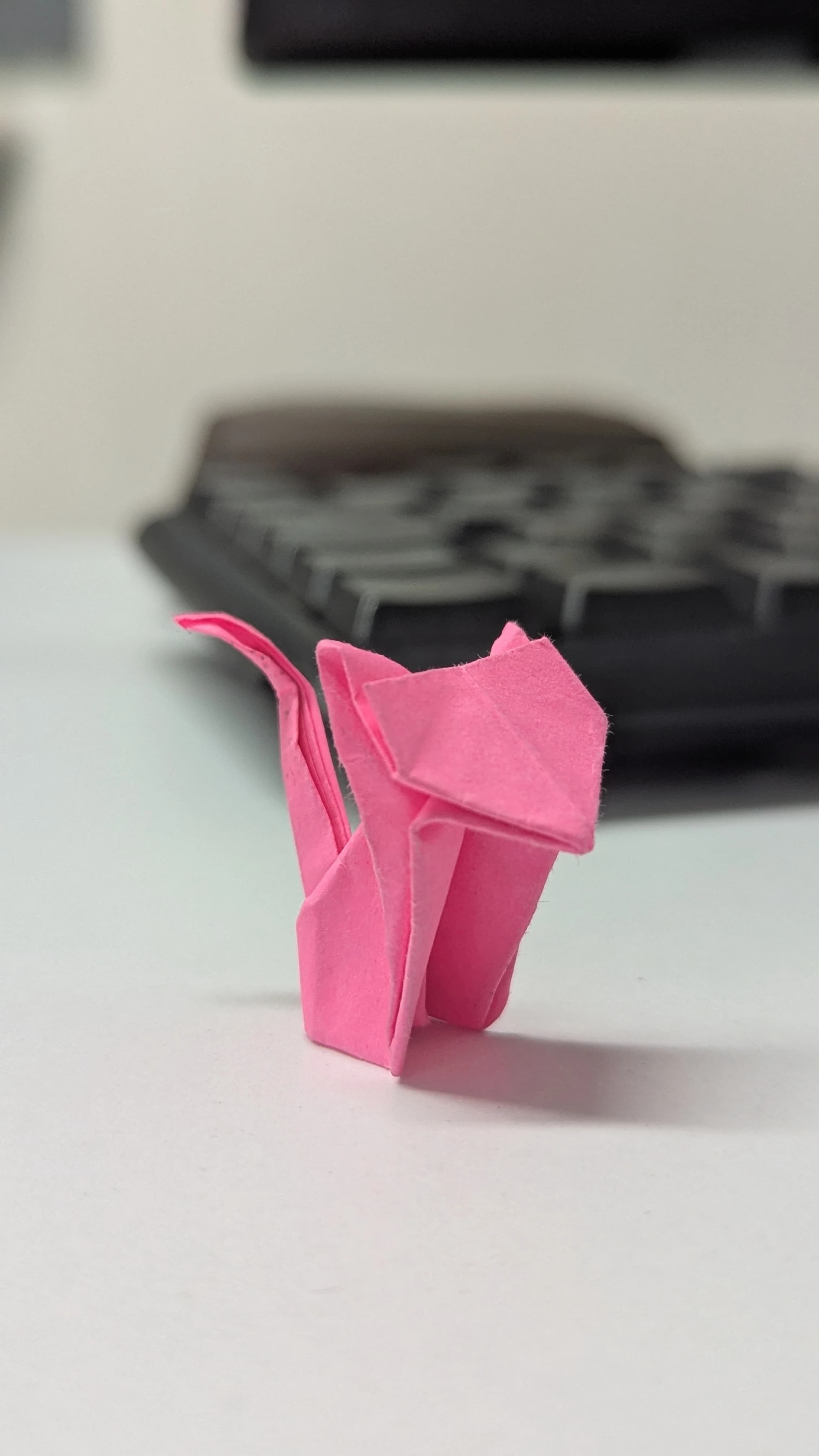 Gato: figura de papel, fotografiada de frente