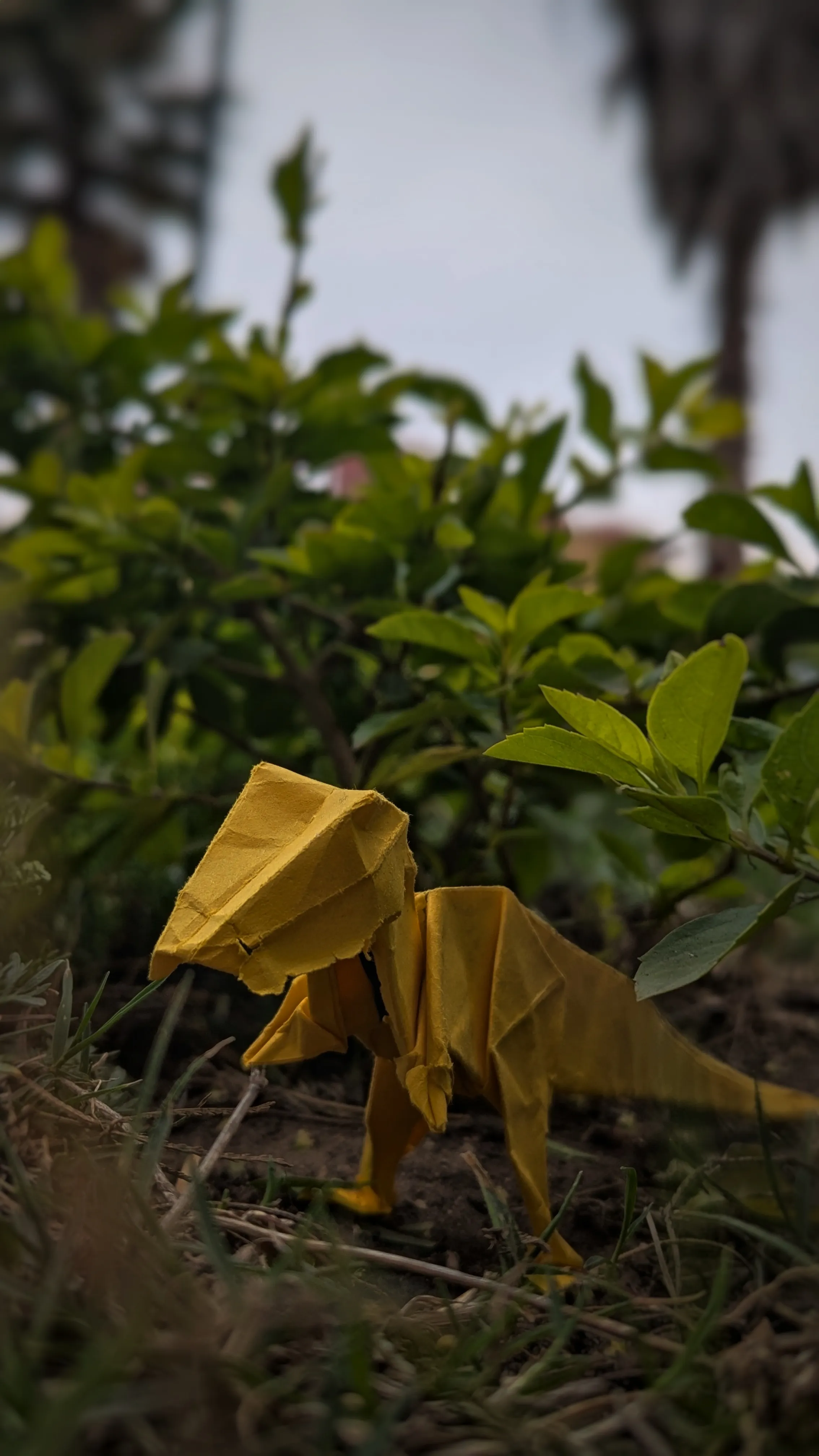 Velociraptor: figura de papel, fotografiada de frente